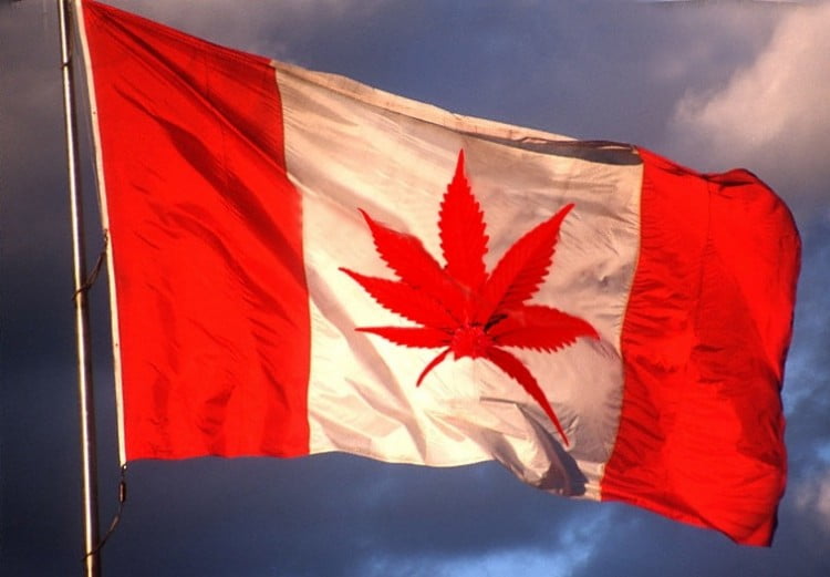 Marijuana-Canada-750x521.jpg