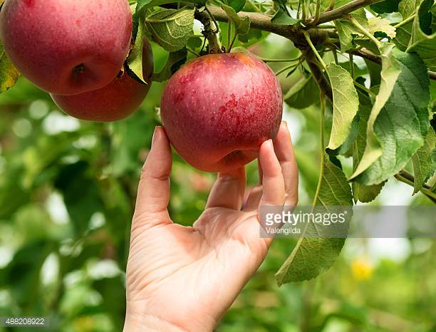 Photo by Valengilda/iStock / Getty Images